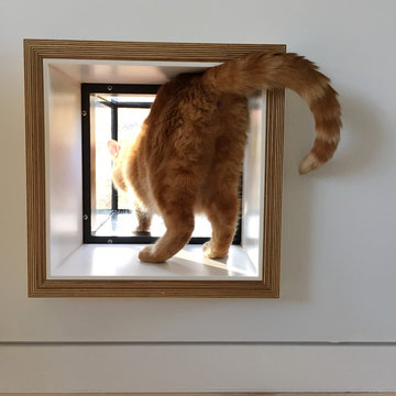 Palindrome Home