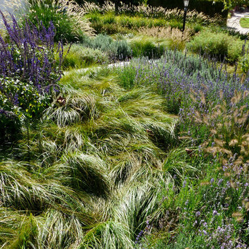 No-Mow Meadow Garden
