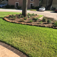 Front Yard Landscaping