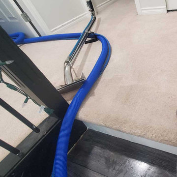 Extreme Pet Urine Treatment and Spot Removal Located in Surrey BC Canada