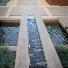 Pond