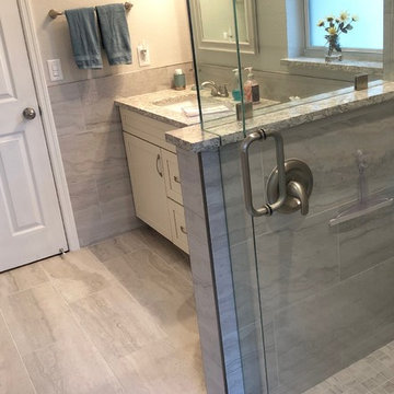 Clean Contemporary Bathroom Remodel