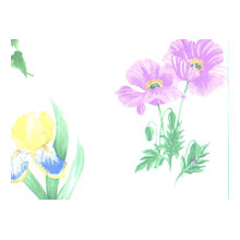 patsy_mcl's ideas