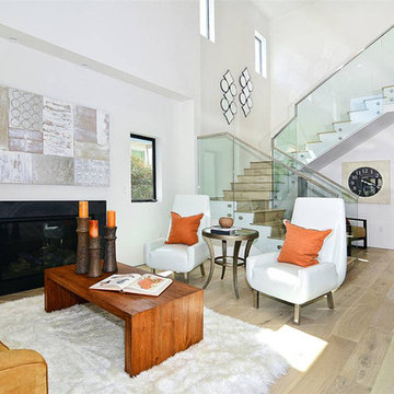 Modern Santa Monica Home