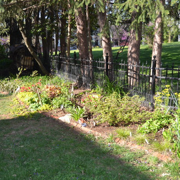 DIY Landscape - Woodland or Shade Gardening