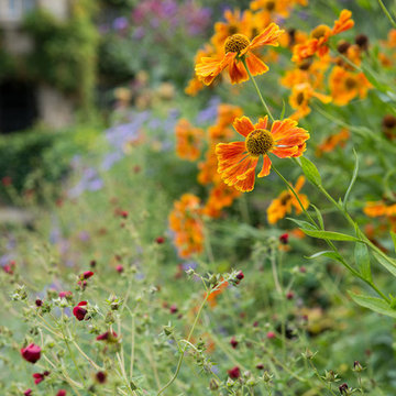 Private Garden for Melissa Morton Garden Design