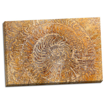 Fine Art Photograph, San Miguel Fossils I, Hand-Stretched Canvas
