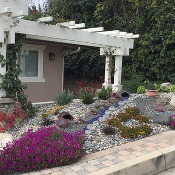 Succulent garden