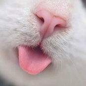 Ling Mey's photo