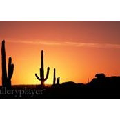 Marsha Kisicki's photo
