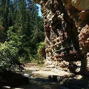 Trish Davis Fordyce's photo