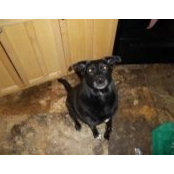 Tiffany Ballering's photo