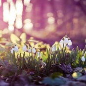 Rasa Klevienė's photo