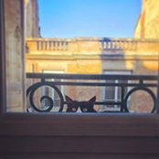 Gemma Dardennes's photo