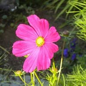 Foto von Jean Matlack