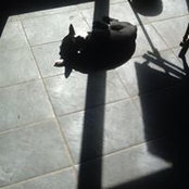 Nancy Von Opitz's photo