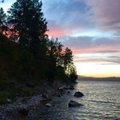 Deb Peterson's photo