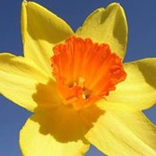 Janette Morrison's photo