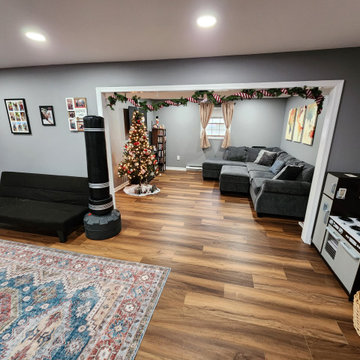 Basement Finish with bathroom