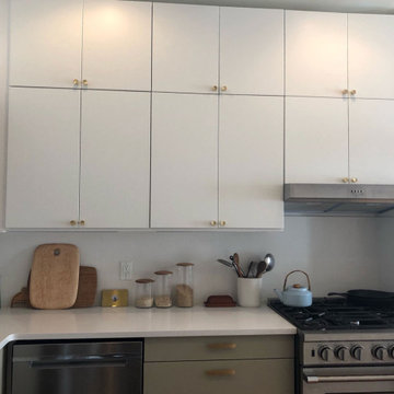 First-Time Renovators Make the Pieces Fit In Remodeled IKEA Kitchen