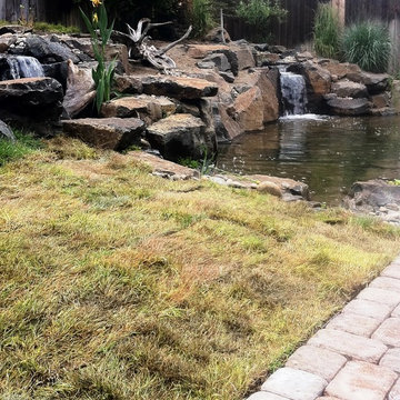 Noel and Nancy's Pond Makeover - Finished from the West End