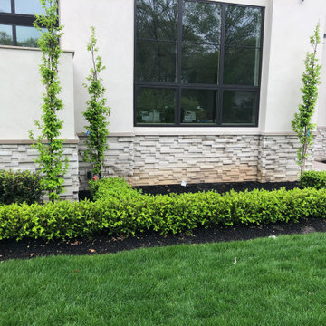 Lakewood modern