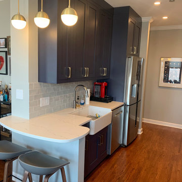 Condo Remodel - Lakeview West, Chicago, IL