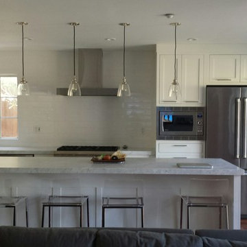 San Mateo Contemporary Kitchen