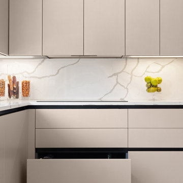 Super-functional Contemporary Kitchen on Long Island