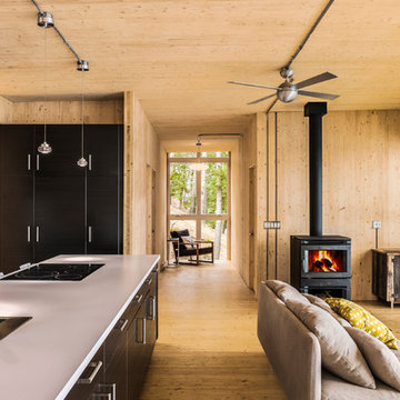 Cross-Laminated-Timber Cottage