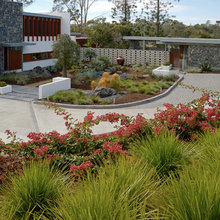 Driveway landscaping