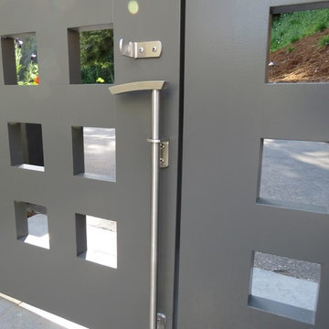 Double Gate with 24-in Brushed Stainless Steel Contemporary Cane Bolt