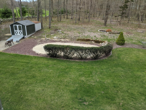 Pool removal and landscaping