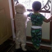 Nancy Waechter's photo