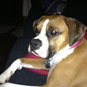 Kathy Williams's photo