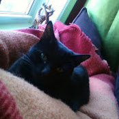 Photo de Rose Gibson Brady
