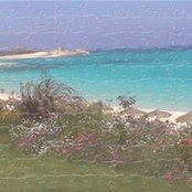 Foto von Effat Chaker