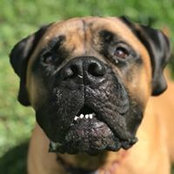 Leslie Hennig's photo