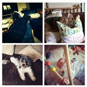 Janine Punte's photo