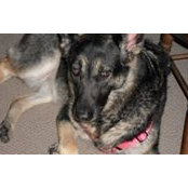Catherine Larsen's photo