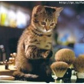 Topi Yudum's photo