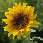 Katelyn Gentry's photo