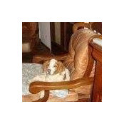 Florence Malfatti's photo