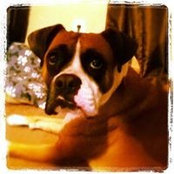 Jasey Hildreth's photo