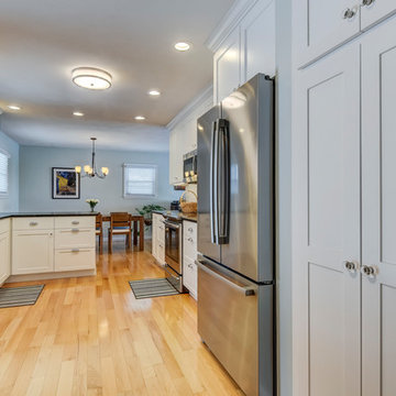 Beautiful Minimalist Style Kitchen in Springfield