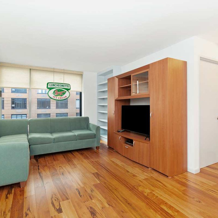 Living room - living room idea in New York
