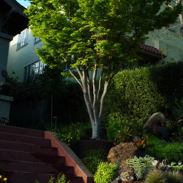 Piedmont front garden