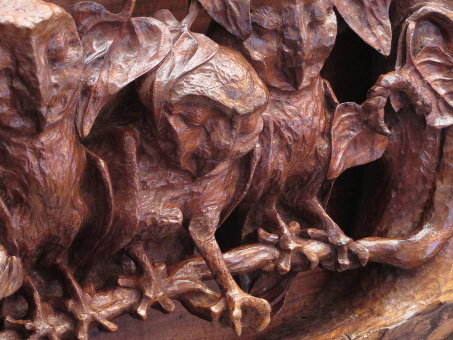 DETAIL: Sleeping Owlets