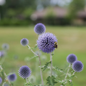 Scotland Inspired Garden