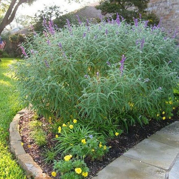 Sustainable Landscape